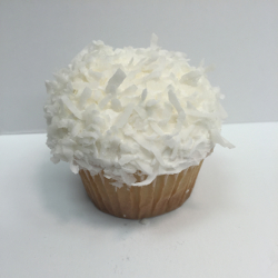 Coconut Craze