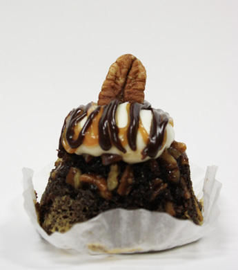 Turtle Fudge